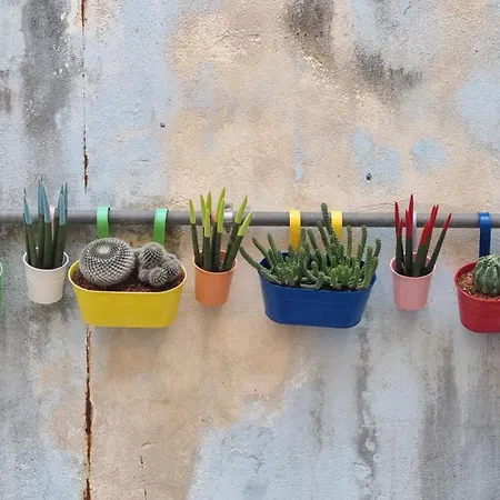 Casa Emma Apartman San Nicola Arcella